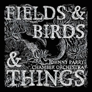 Johnny Parry Chamber Orchestra的專輯Fields & Birds & Things