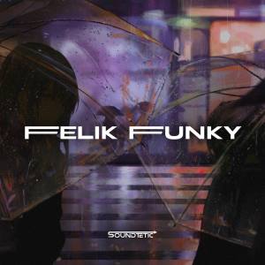 Album DJ IGNITE X MASHUP (Inst) from felik funky