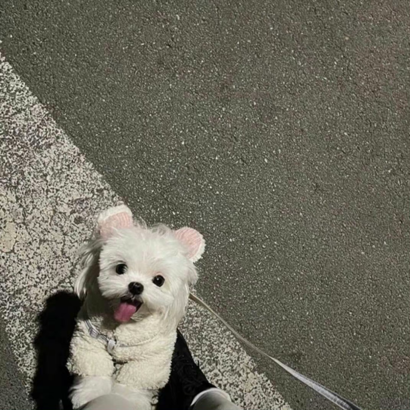 阿美呀
