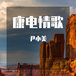 Album 康电情歌 oleh 尹小美