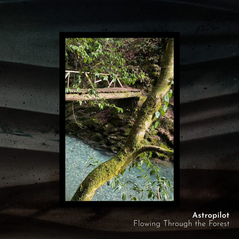 Enchanted Violet Grove