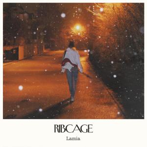 Album ribcage from 