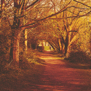 Listen to Autumn Love song with lyrics from colours in the dark