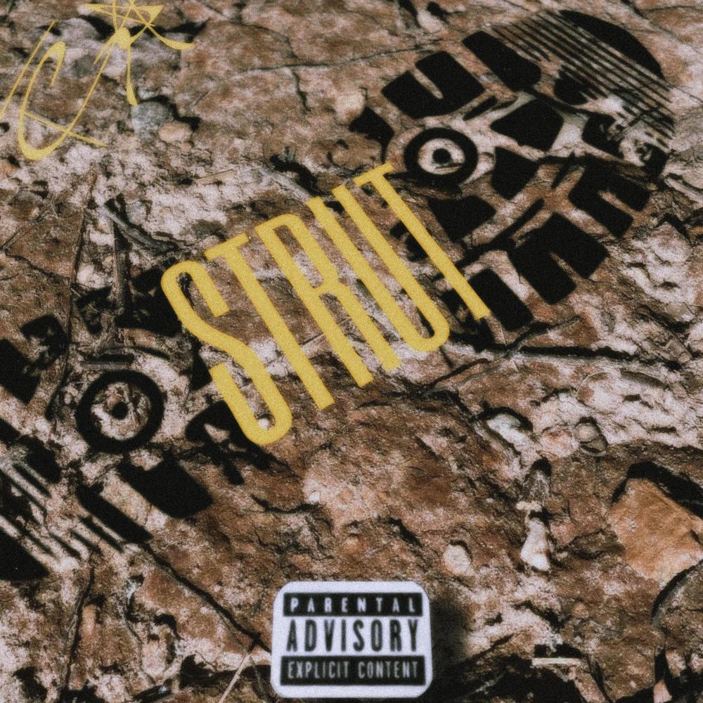 STRUT (Explicit)