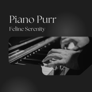 Piano Purr: Feline Serenity