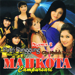 Listen to Ngamen 1 song with lyrics from Lita Darawangi