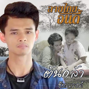 ดาวน์โหลดและฟังเพลง อ้ายกำลังอกหัก พร้อมเนื้อเพลงจาก ต้นกล้า ชัยณรงค์