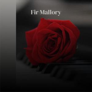 收听Francel Sose的Siete Mato歌词歌曲