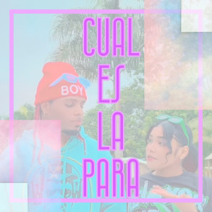 Album Cual Es La Para from Los del fino