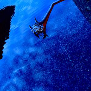 undercooled的專輯Storm and Sea