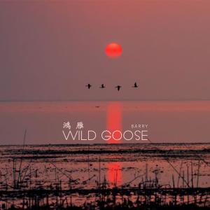 Album Wild Goose from Barry
