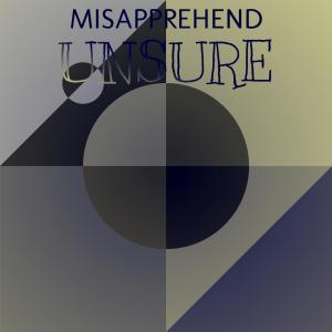 Various Artists的專輯Misapprehend Unsure