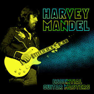 收聽Harvey Mandel的What Comes Around Goes Around歌詞歌曲