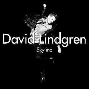 David Lindgren的專輯Skyline [Acoustic Version] (Acoustic Version)