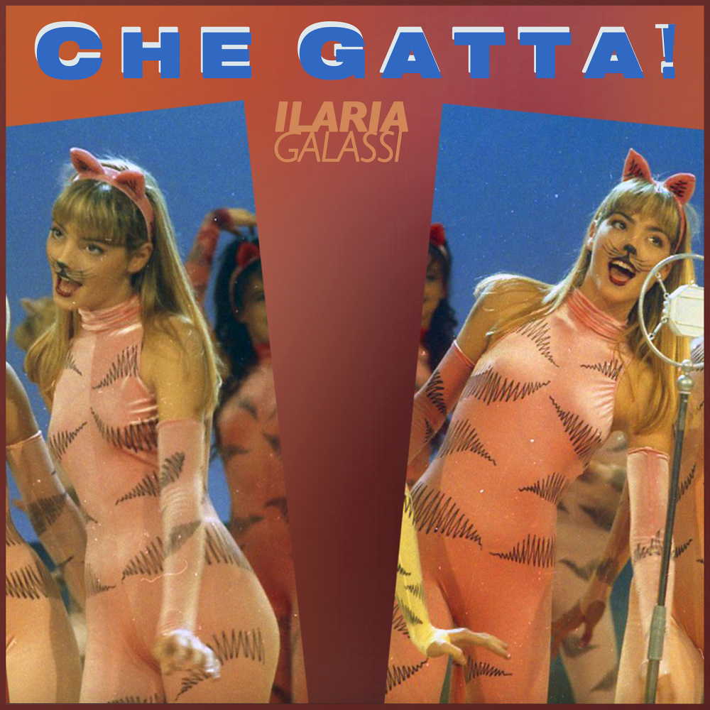 Che Gatta!
