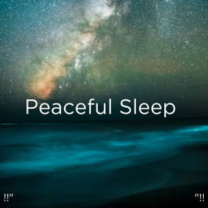 收聽Deep Sleep的Nature Birds Chirping歌詞歌曲