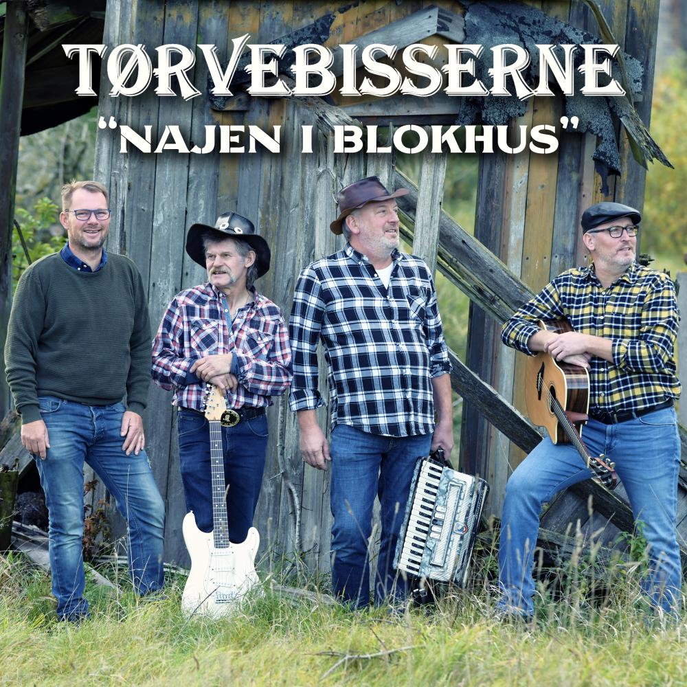Najen i Blokhus