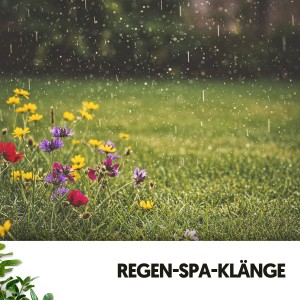 Cat Music Therapy的專輯Regen-Spa-Klänge: Wer Erde