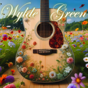 收聽Wylde Green的When You Can't Explain Love歌詞歌曲