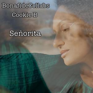 收聽BonafideCollabs的Señorita (feat. Produced by Legion Beats)歌詞歌曲