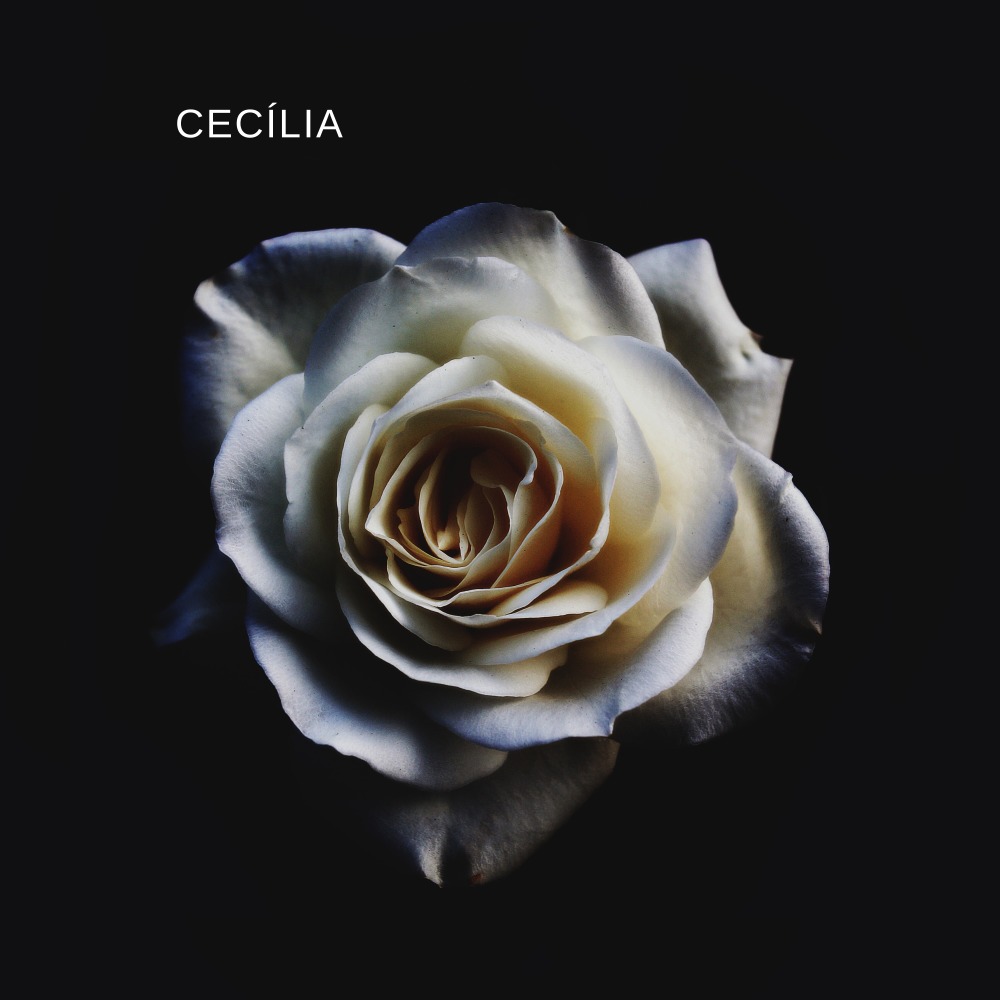 Cecília