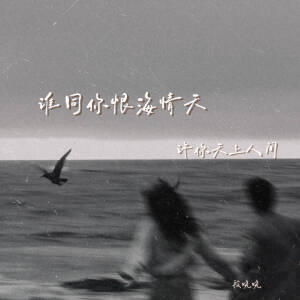 Album 谁同你恨海情天 from 段晓晓