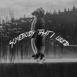 Album Somebody That I Liked from Velavox
