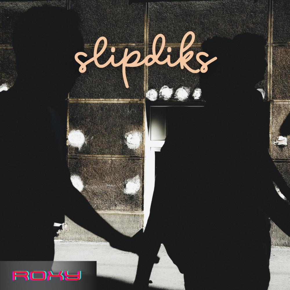 Slipdiks