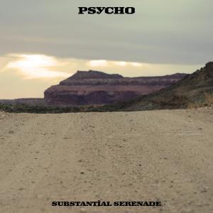 Substantial Serenade的专辑Psycho