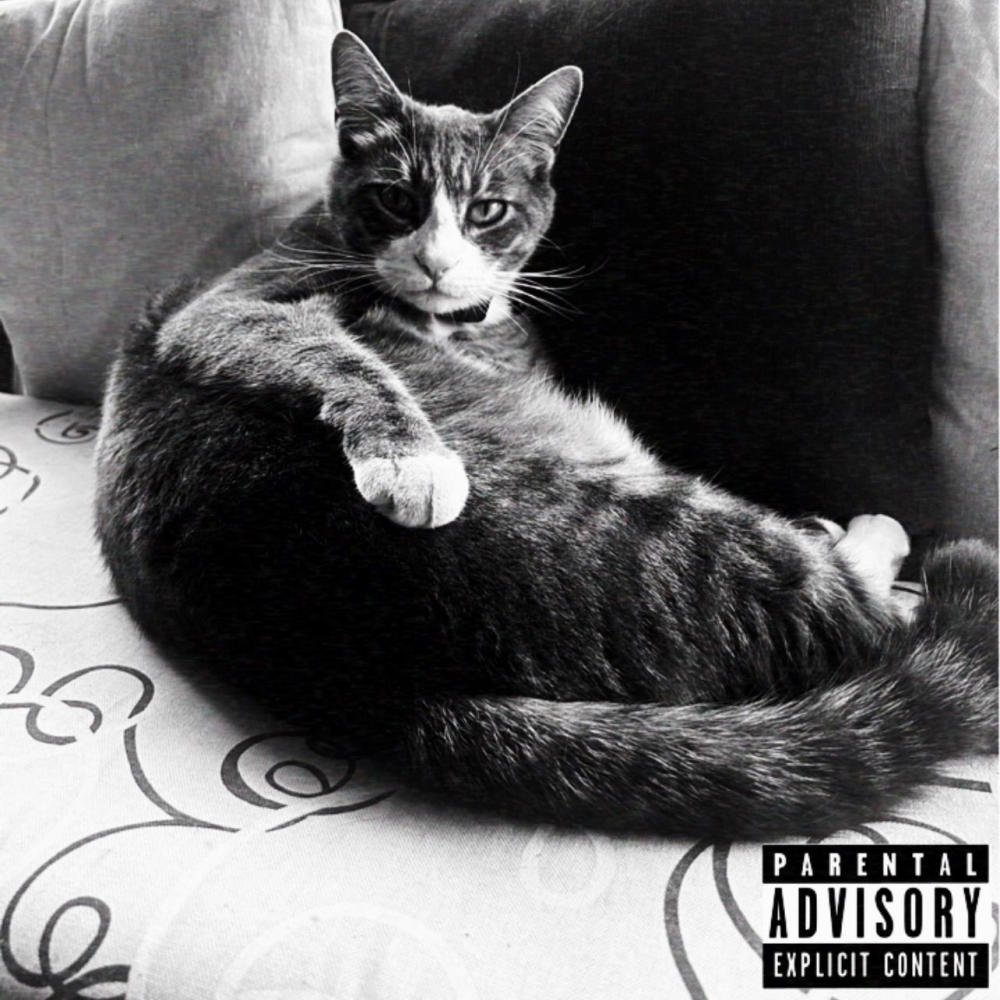 Cheeba (feat. Tonyus, Dani CB & Zaghe) (Explicit)
