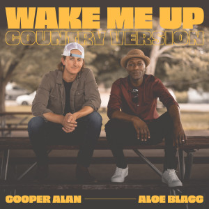 Listen to Wake Me up (Country Version) song with lyrics from Cooper Alan