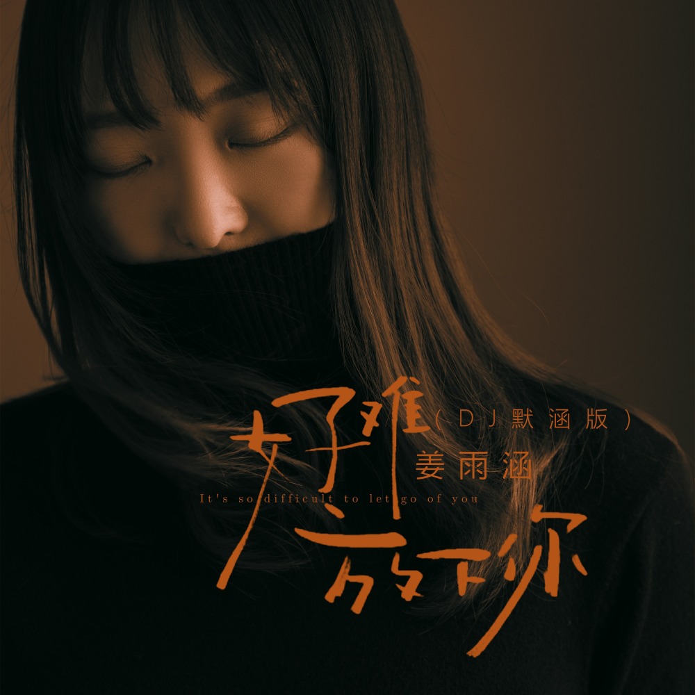 好难放下你 (DJ默涵版伴奏)