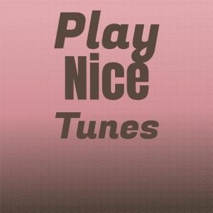 Album Play Nice Tunes from Various