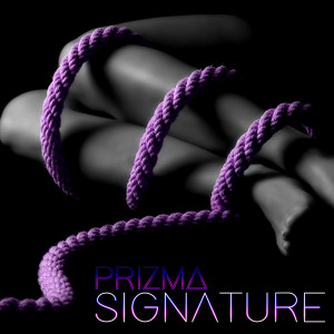 ดาวน์โหลดและฟังเพลง Signature (Radio Edit) พร้อมเนื้อเพลงจาก Prizma