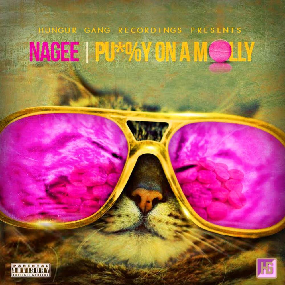 Pussy on a Molly (Explicit)