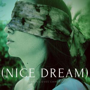 Joanie Loves Chachi的专辑(Nice Dream)