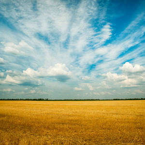 Dengarkan Relax lagu dari Sleep Sounds of Nature dengan lirik