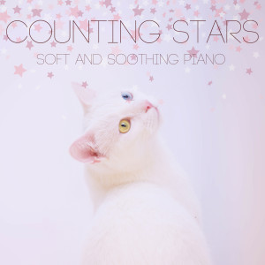 Dengarkan The Night Sky's the Limit lagu dari Piano Cats dengan lirik