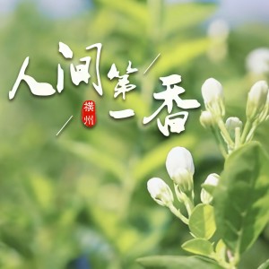 Album 人间第一香（横州市茉莉花大会主题曲） from 杨历川