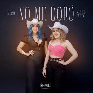 收聽Marián Oviedo的No Me Dolió (En Vivo)歌詞歌曲