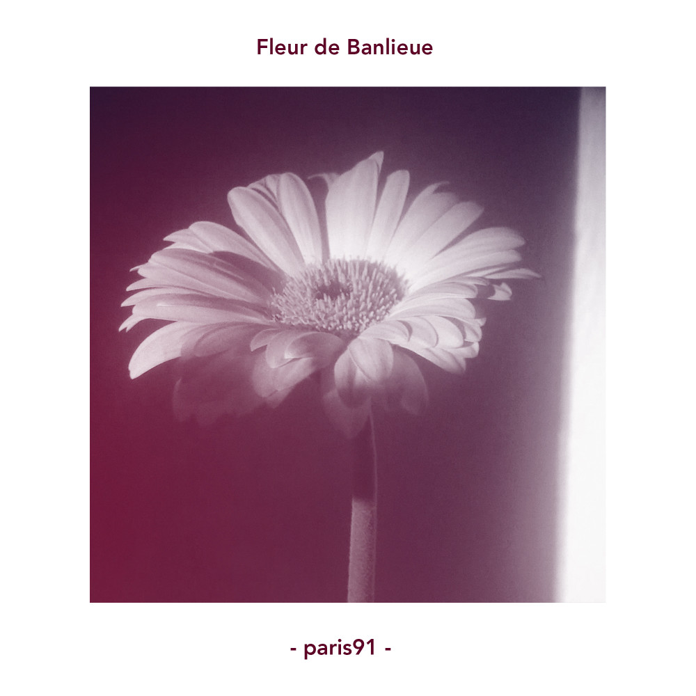 Fleur de banlieue