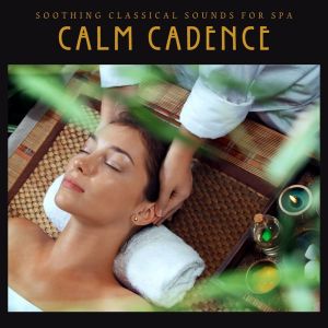 收聽Vilnius Symphony Orchestra的Symphony No. 3, Op 90: III歌詞歌曲