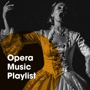 Various Artists的專輯Opera music playlist