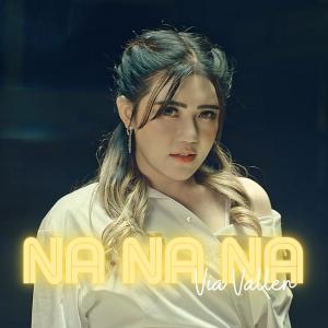Album Na Na Na from Via Vallen