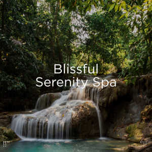 Listen to Calm Ocean Waves Crashing song with lyrics from BodyHI