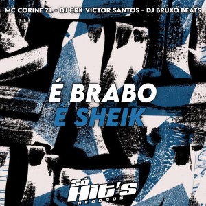 ดาวน์โหลดและฟังเพลง É Brabo e Sheik (Explicit) พร้อมเนื้อเพลงจาก DJ CRK VICTOR SANTOS