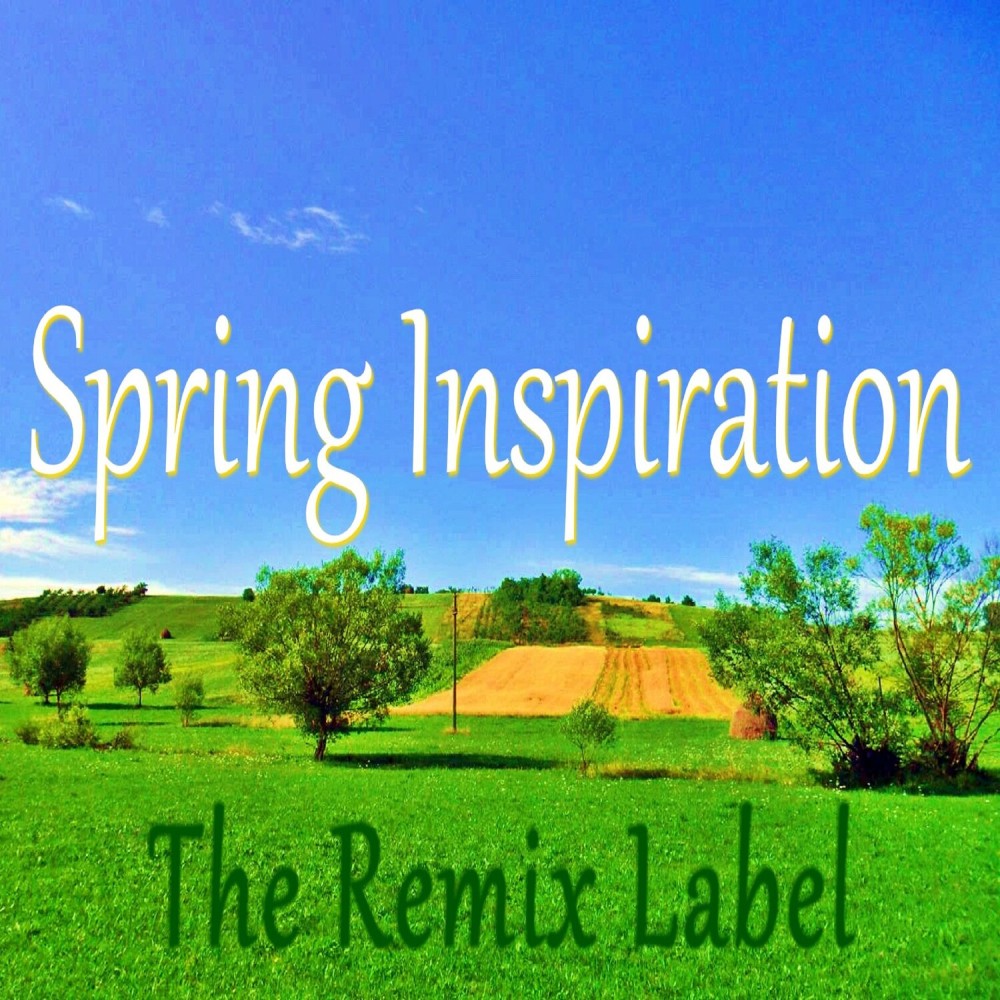 Winning Souls Inspiration (Organic Background Music Mix)