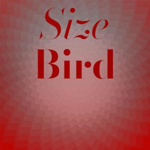Listen to Sit Tel song with lyrics from Michy Aunti