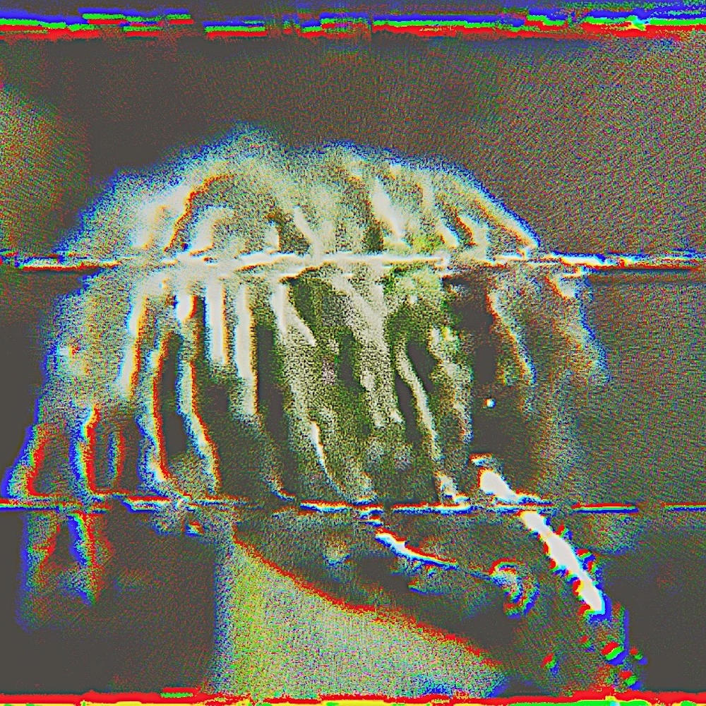 orion (feat. Huits) (Explicit)