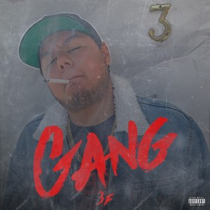 Listen to Gang song with lyrics from 3f